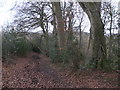 Public footpath through Neighbour?s Wood