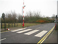 Zebra crossing - Tesco, Royston