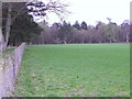 Field boundary near Ardoch