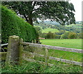 View from Low Fairhead