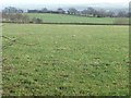 Large field east of Fall Edge Lane