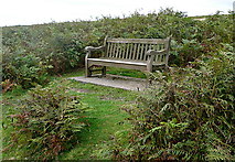 NZ8401 : Seat on Mill Moor by Graham Horn