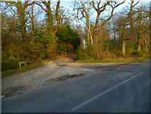 SU8206 : The driveway to Robin Hill Farm by Shazz
