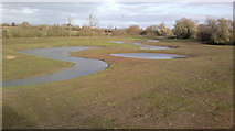 SO8624 : River Chelt's new wetland areas by Tony Jones