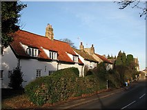 TL5562 : Swaffham Bulbeck: pantiled cottages by John Sutton