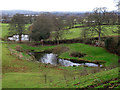 Two ponds at Swanscoe