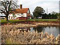 Pond by College Farm, Hintlesham