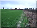 Footpath off Swillington Lane