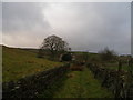 Bronte Way approaching Whitestones Farm