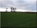 Farmland off Barwick Road