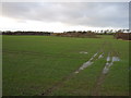 Farmland off Wakefield Road