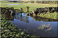 NT4005 : Waterlogged farmland at Dryden, Teviothead by Walter Baxter