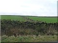 Dry stone walls near Slack Terrace