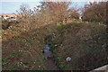 Standing on a footbridge near Town Walk facing upstream on Coney Gut