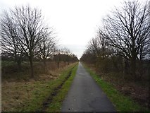 SE6140 : York to Selby cycle path near Mount Farm by DS Pugh