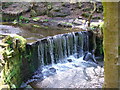 Waterfall at Greenway Bank