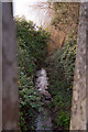 The view downstream on Coney Gut from a footbridge near Town Walk