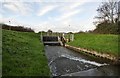 The weir and storm tunnel which serve as a flood relief for Coney Gut