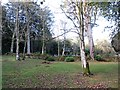 Woodland and cemetery, Glen Shurig