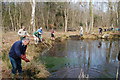 Pond restoration in Park copse