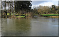 River Rhiw/Afon Riw form the River Severn