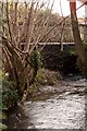 A view from Downstream of a footbridge near Tesco Petrol Station crossing Coney Gut