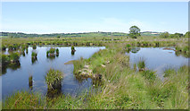 SN6862 : Pools on Cors Caron in July, Ceredigion by Roger  D Kidd