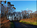 Minor Road Junction Near High Wardneuk