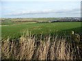 Farmland, Ingbirchworth Moor