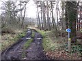 NT9161 : Woodland track by Richard Webb