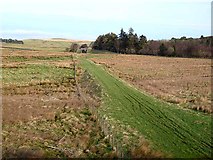 NZ0389 : Trackbed of the old Rothbury line by Oliver Dixon