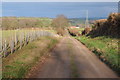 Track and bridleway to Woodlands Farm