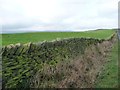 Dry stone wall along Whitley Road