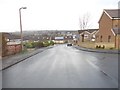 Sycamore Avenue - viewed from Glenlee Road