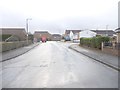 Sycamore Avenue - viewed from Glenlee Road