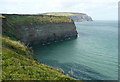 NZ7718 : Sea cliffs at Cowbar by Graham Horn