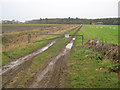 Track to Turf Moor Farm