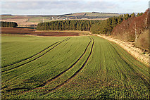 NT6340 : An arable field at Fans Hill by Walter Baxter