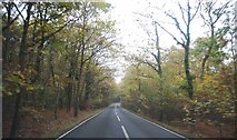 TR1464 : Thornden Wood Rd by N Chadwick