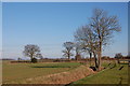 Footpath north of Dagwood Farm