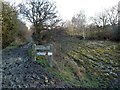 The Barnsley Canal (disused)