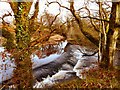 Weir on Tarf Water