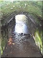 Foot tunnel beneath railway, Rhiwderin