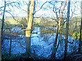 Glentyan House lake, Kilbarchan