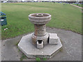 Drinking fountain on Blackheath