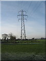 Pylons on Nailsea Moor