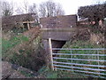 Brassy Bank Bridge