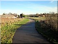 The Millennium Greenway at Mickle Trafford