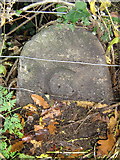 SX9096 : Stone beside the road by Brian Henley