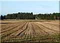 Winter Fields Near Troon